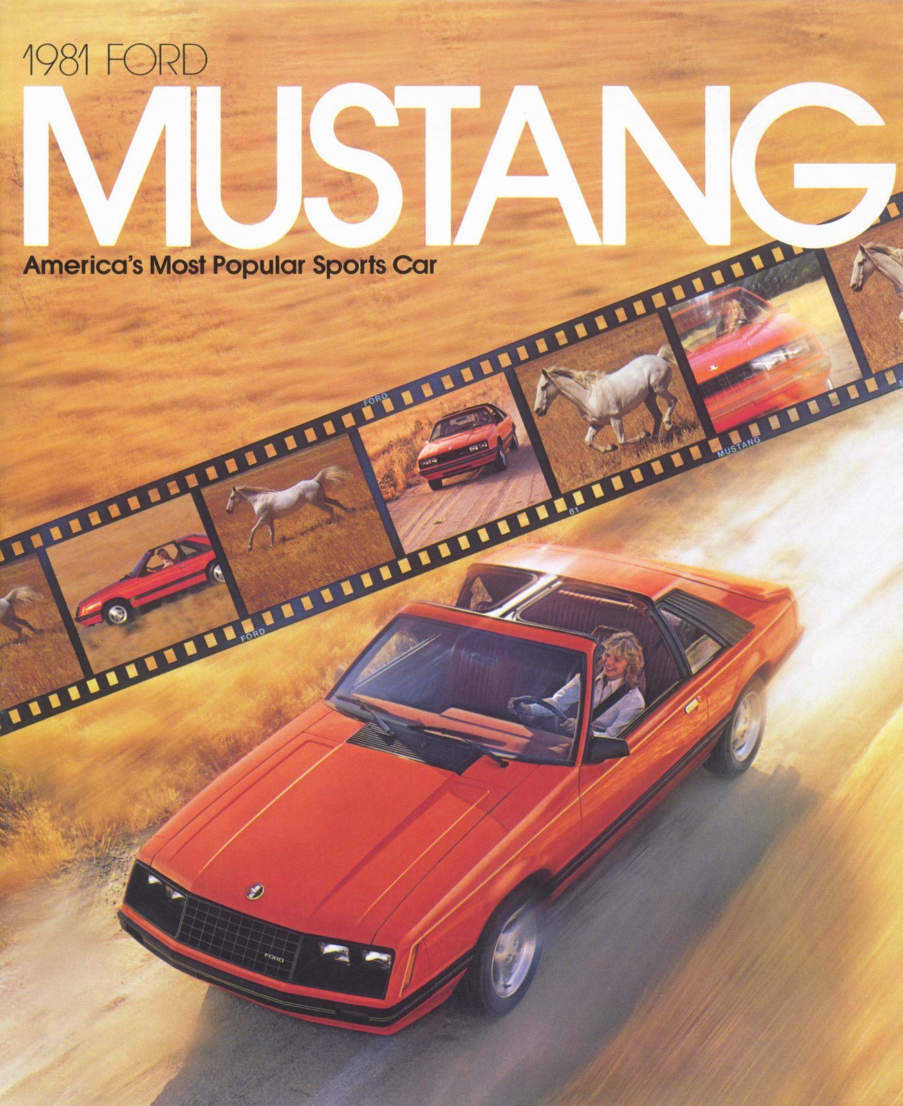 n_1981 Ford Mustang (Rev1)-01.jpg
